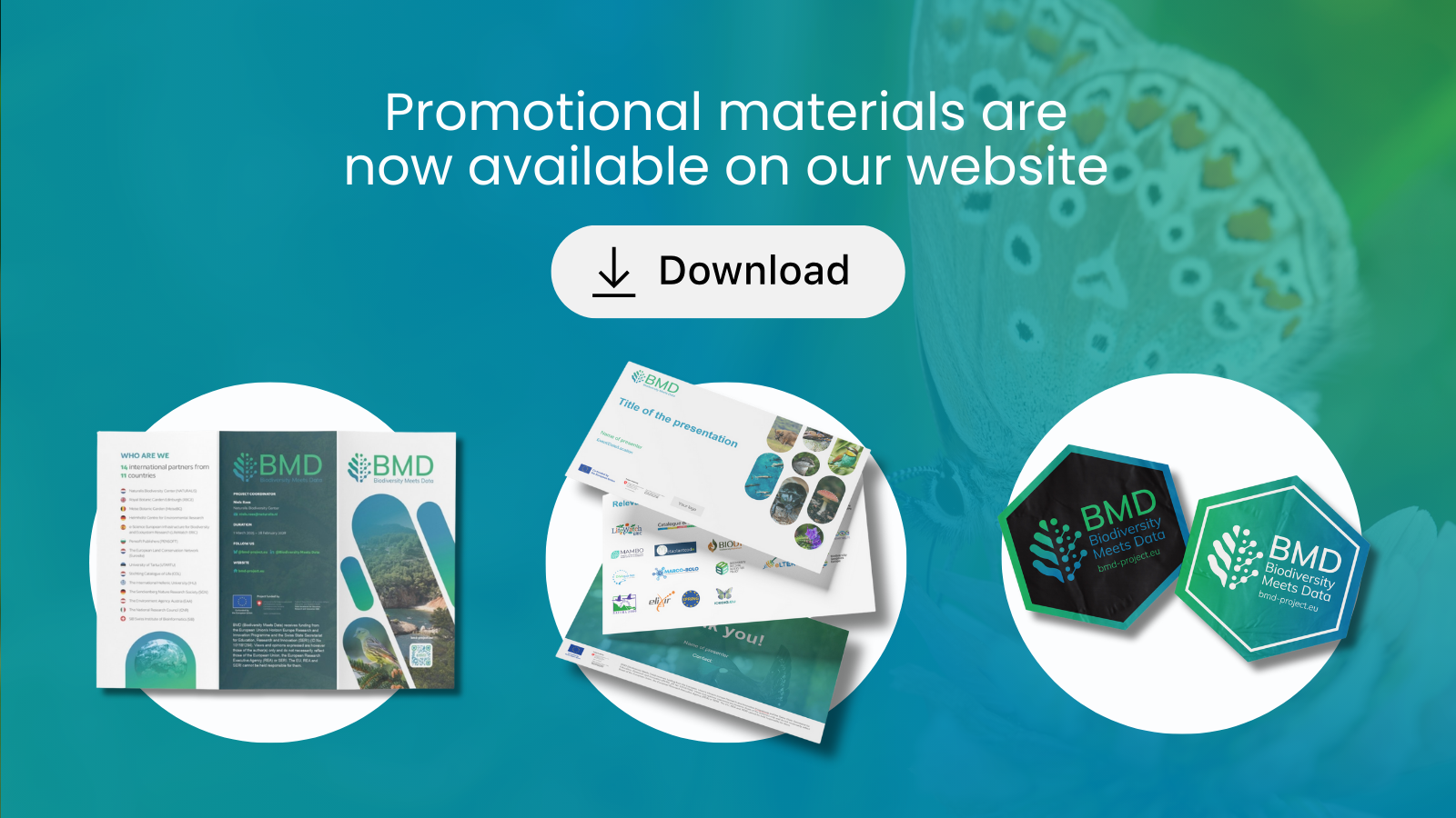 BMD promotional materials are now available on project’s website