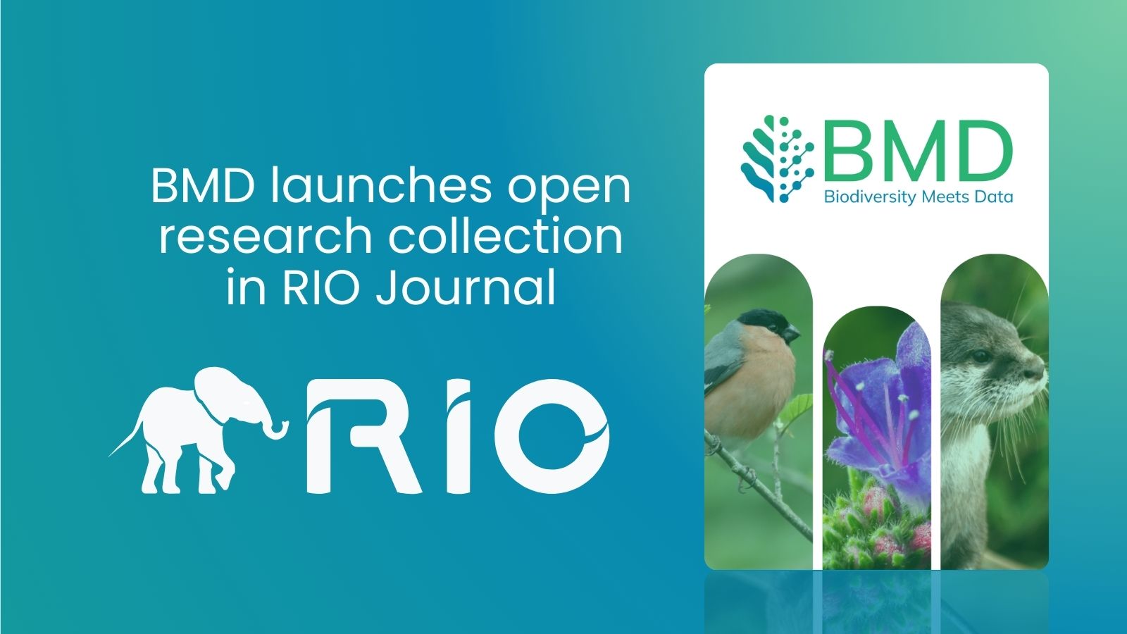 BMD launches open research collection in RIO Journal