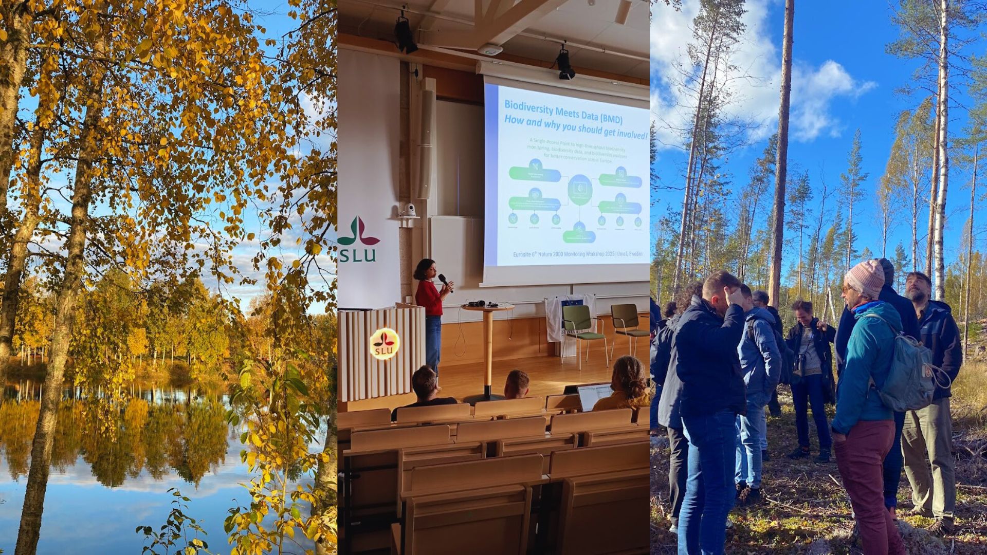 BMD’s second stakeholder workshop engaged practitioners in interactive sessions