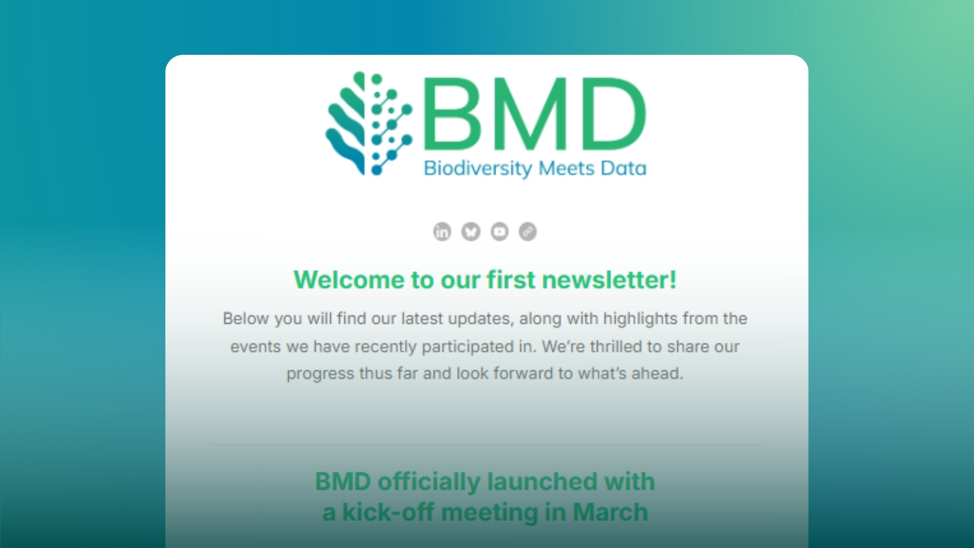 BMD Newsletter, Volume I