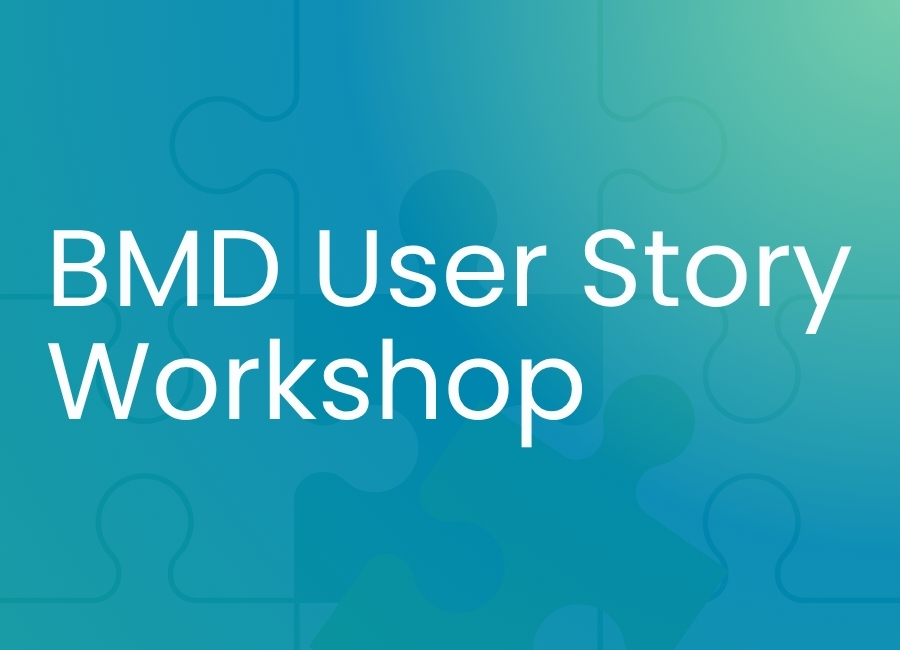 Practitioners join BMD for co-design workshop