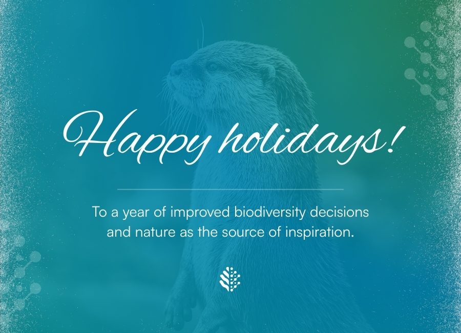 A look back to BMD’s first year: 2025 highlights