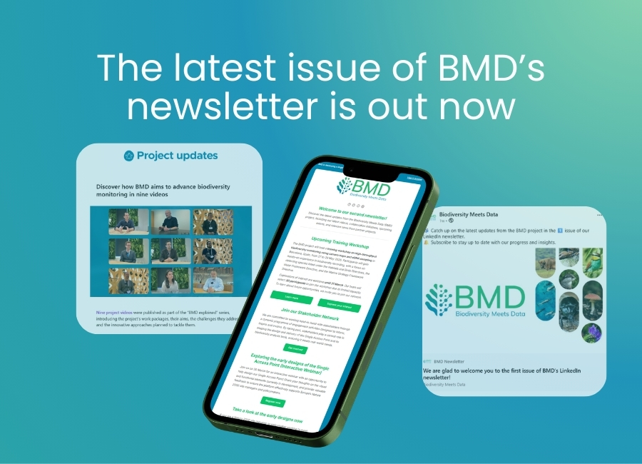 The latest project news and updates: BMD launches a LinkedIn newsletter