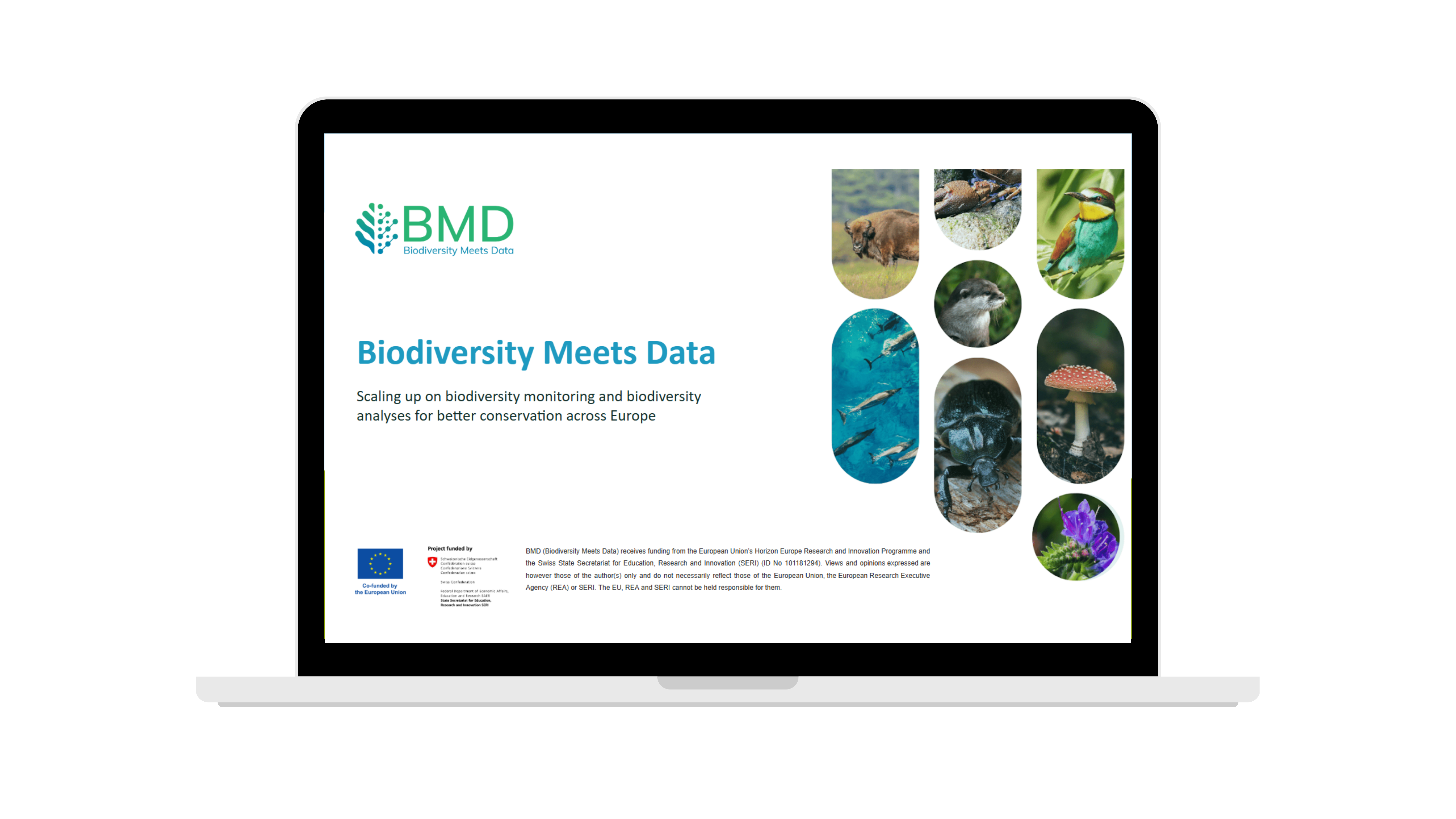 Comprehensive slide deck