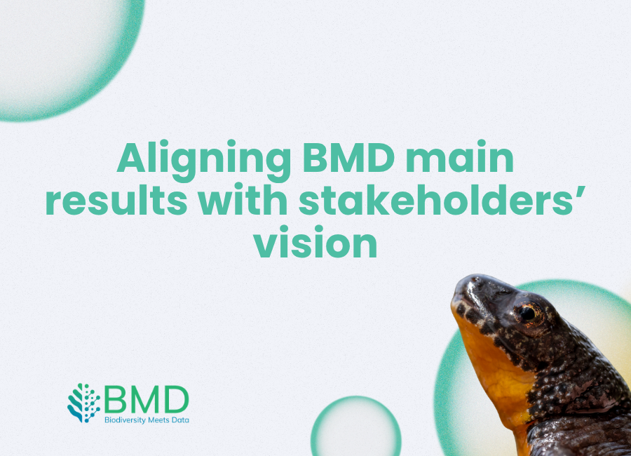 Aligning BMD main results with stakeholders’ vision