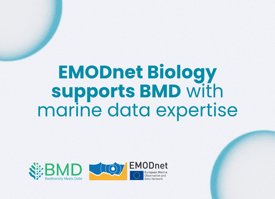 EMODnet strengthens biodiversity data collaboration in Europe