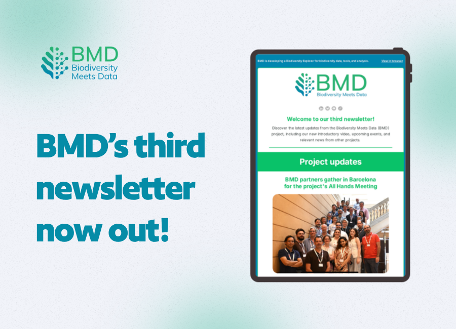 Check out BMD's latest newsletter!